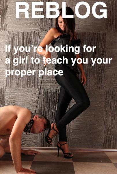 iw IY 1 7 - BLO G i I 2 for il i py 0